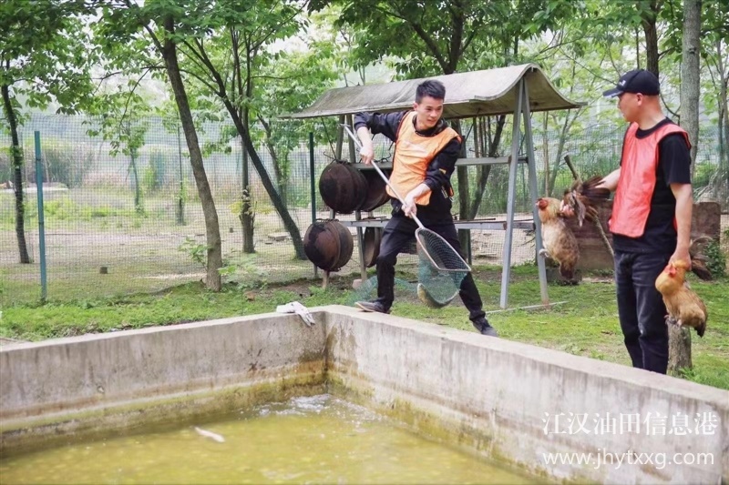 武漢公司團(tuán)建一天的流程公開，玩法多多亮點多多性價比高